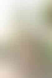 Mother standing with her three young children during a family photo session at Libby Hill Park in Richmond Virginia