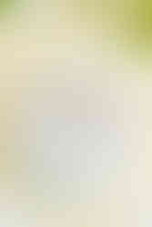 16. Engagement and wedding rings resting on invitation — captured by Munhoz Photography, Richmond wedding photographer.