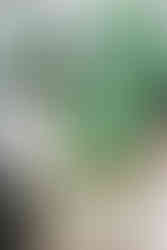 3. Groom cutting the wedding cake while bride laughs beside him at Richmond VA wedding.