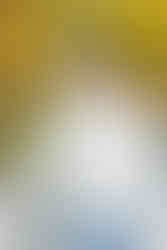 1️⃣6️⃣ Handsome groom portrait fall engagement Richmond VA