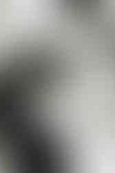 1️⃣1️⃣ Intimate fall engagement portraits Richmond VA photographer