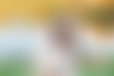 sisters hugging each other at the midlothian mines park 2025 fall family mini sessions