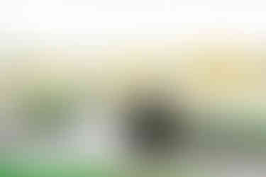 15️⃣ Bride and groom standing by lakeside greenery with flowing veil — elegant fine-art wedding portrait at The Dominion Club.