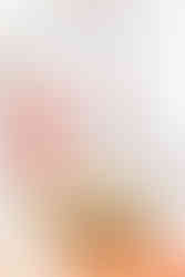 virgnia wedding photographer