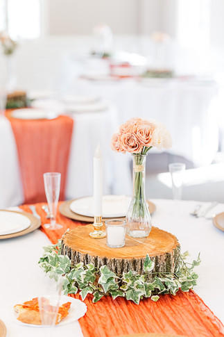 virgnia wedding photographer