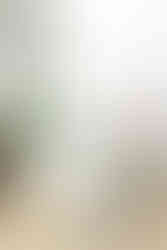 13. Scenic view of the lake and trees at Pocahontas State Park in Richmond VA