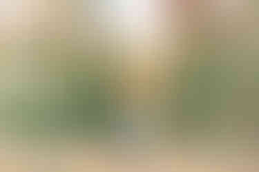 1️⃣7️⃣ Editorial chair pose fall engagement University of Richmond