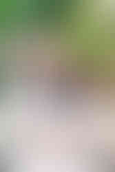 Teen sisters standing together in pastel dresses during a spring family session at Maymont, Richmond.