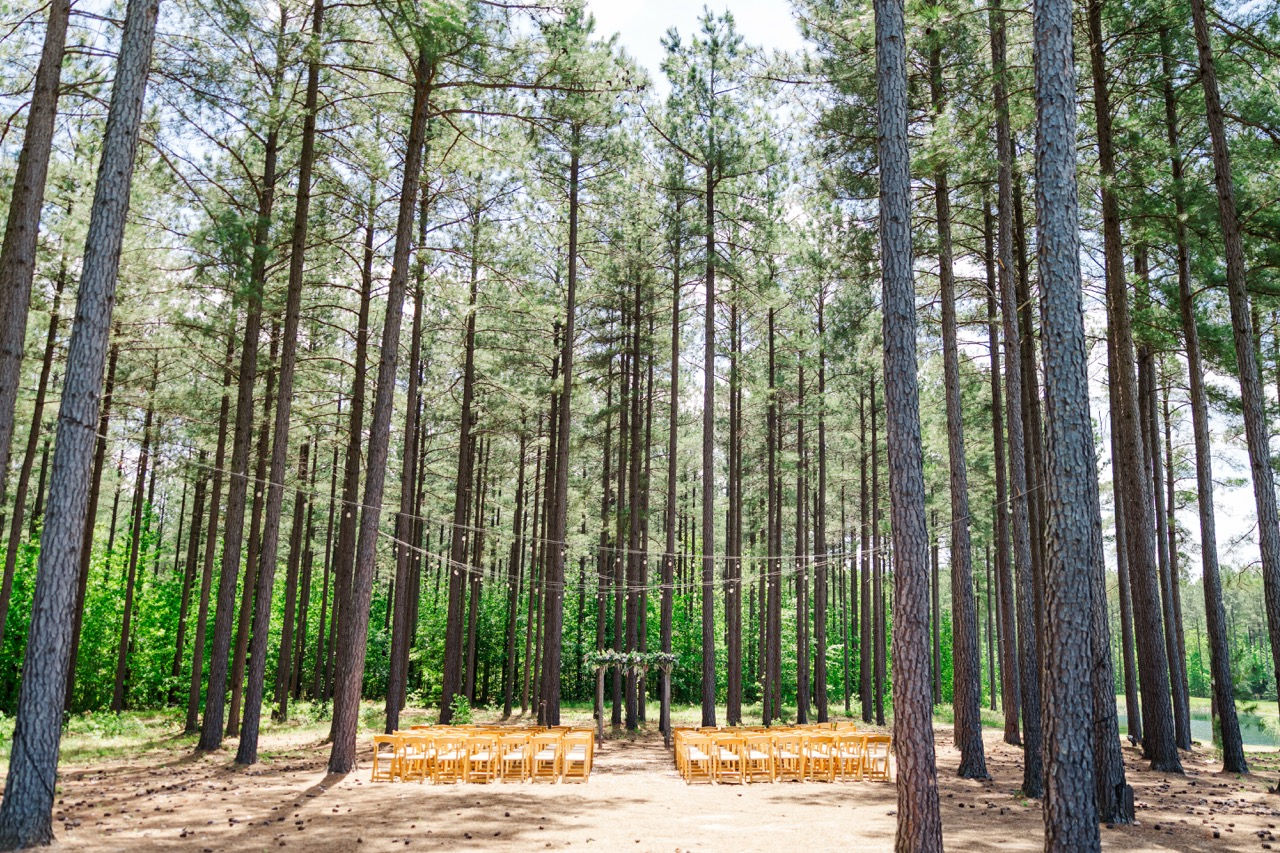 	7.	Pine tree forest ceremony location at Timber Creek