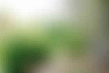 The Lee family walking through Maymont’s gardens with trees and sunlight in the background.