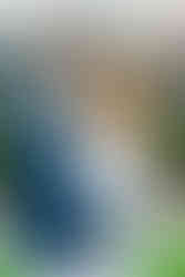 4️⃣ Joyful candid engagement moment Richmond VA