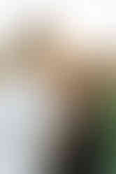 	7.	Close-up couple portrait kissing during Richmond maternity session in a field