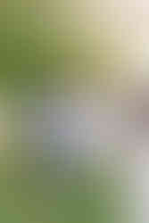 Three generations of the Lee family hugging and smiling together in the garden at Maymont Park.