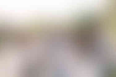 Parents and children posing together surrounded by flowers in the Maymont gardens, photographed by Richmond Photographer Munhoz Photography.