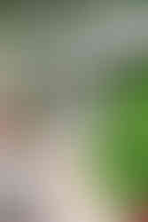 Girl in a white dress posing confidently in the gardens of Maymont, Richmond Virginia.