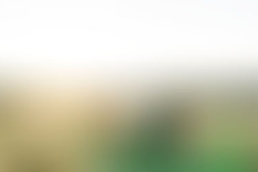 10. Wide shot of couple walking in field at golden hour during Richmond Battlefield maternity photos
