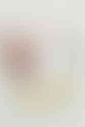 11. Wedding invitation flat lay with blush and ivory roses — elegant stationery details photographed in Richmond, VA.