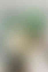 5. Bride and groom toasting with champagne glasses after cake cutting.