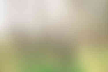 	6.	Pregnant mom walking alone in soft winter light at Richmond Battlefield maternity session