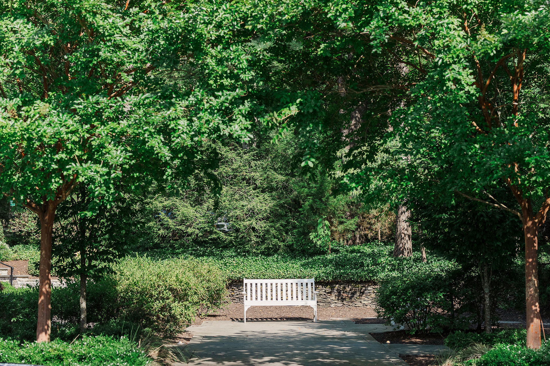	8.	Peaceful white wooden bench surrounded by lush greenery at The Boathouse.