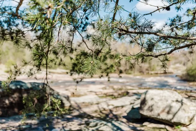 	5.	Rocky creek bed with flowing water, adding to the serene landscape at The Mill at Fine Creek.