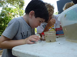 Never too early to become a wildlife biologist!