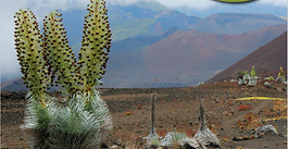 Earth Scientist Publication Summer 2025