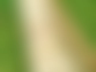 Alle ausgeflogen …