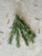 Three Herbs a Day
