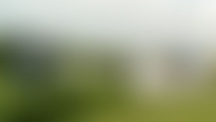 Bentley também produz mel em edição limitada