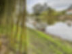Detente+entre+lac+et+bambous+a+bambuparque+nature-1920w.JPG