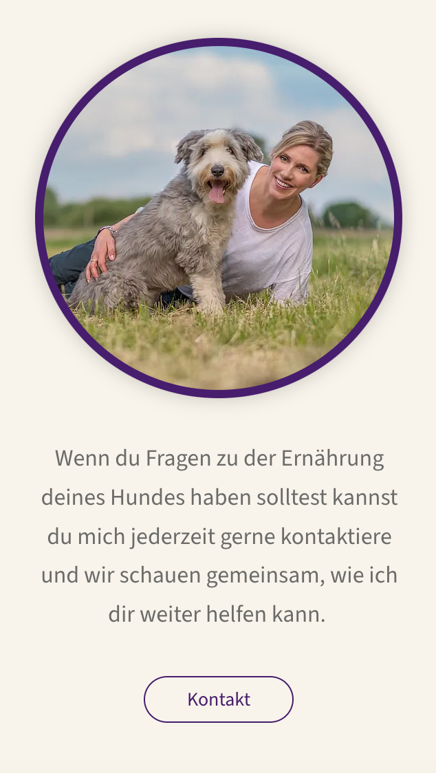 Anna Siebert into • it Webdesign Studio | Portfolio Webdesign