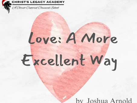Love: A More Excellent Way