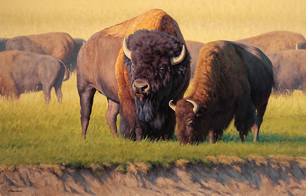 HaydenValleyGathering400