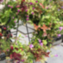 Skype_Picture_2019_09_07T05_09_49_933Z.j