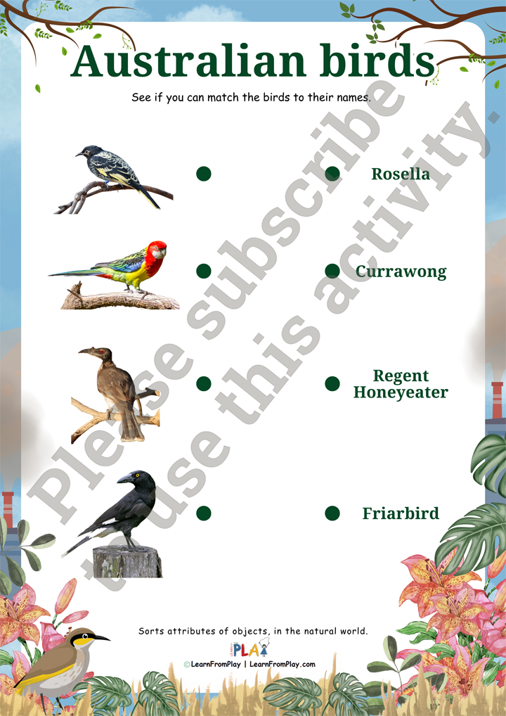 The Forgotten Song - Australian Birds
