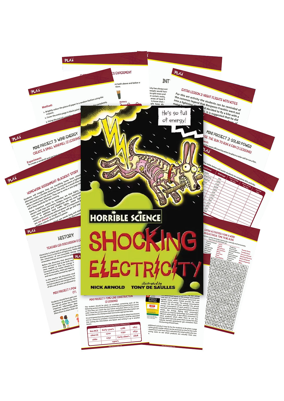 Shocking Electricity : Horrible Science Book Activities