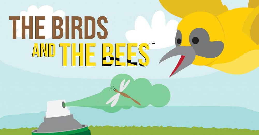 The Birds & The Bees
