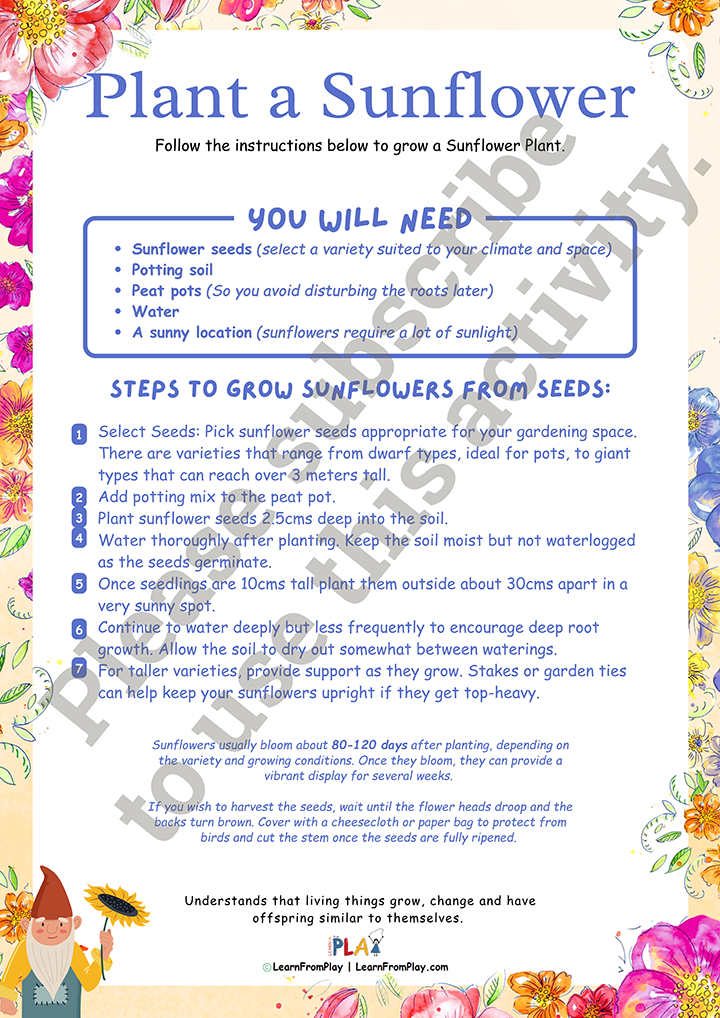 Costa’s Garden - Flowers - Plant A Sunflower