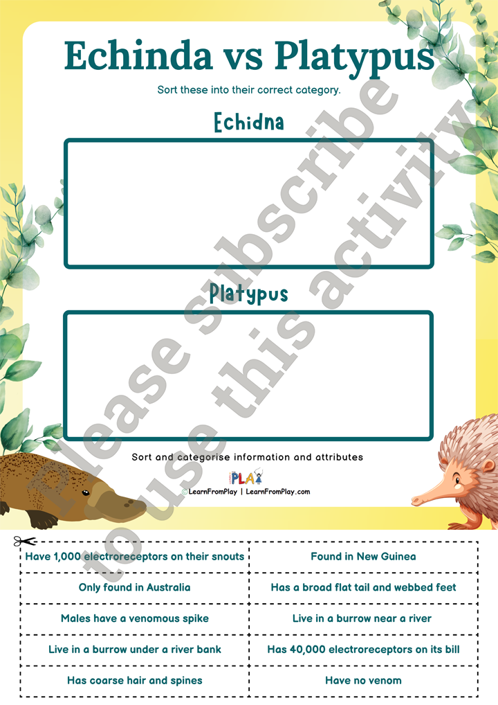 Two Puggles - Echidna vs Platypus Answer