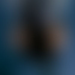 //Album Review\\ Alina Ly unapologetically unpacks her heart with debut album ‘Shoebox’