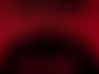 NEW YEAR ... NEW FILM