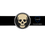 Thumbnail: RAIDER