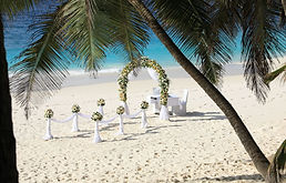 Private Island Wedding