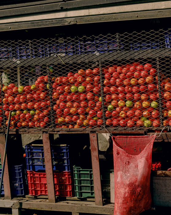 mercado1.jpg