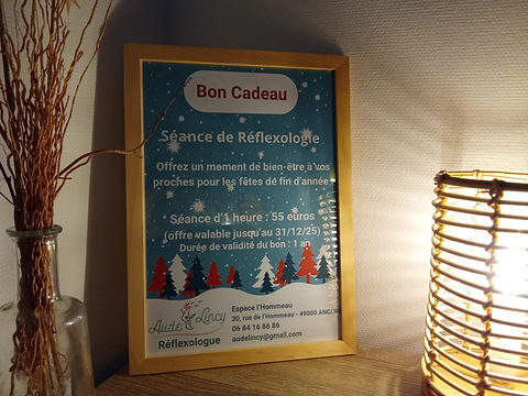 Aude-Lincy-bon cadeau Noel séance réflexologie.jpg