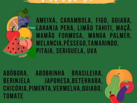 Safra de Fevereiro