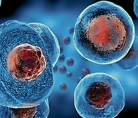 cells.webp