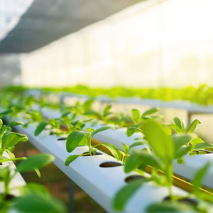 Embracing the Future of Farming in Eastern Idaho