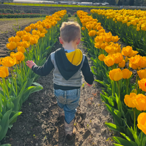 How to Plant and Grow a Business in Puyallup, WA